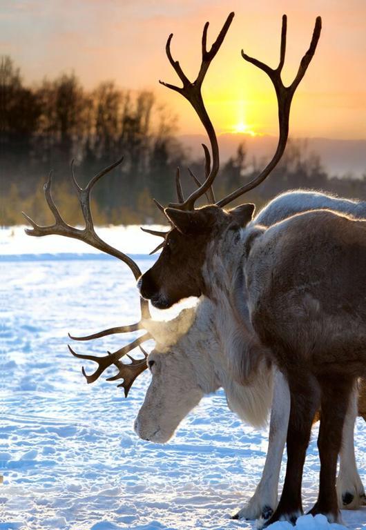 Hotell Funaesdalen エクステリア 写真
